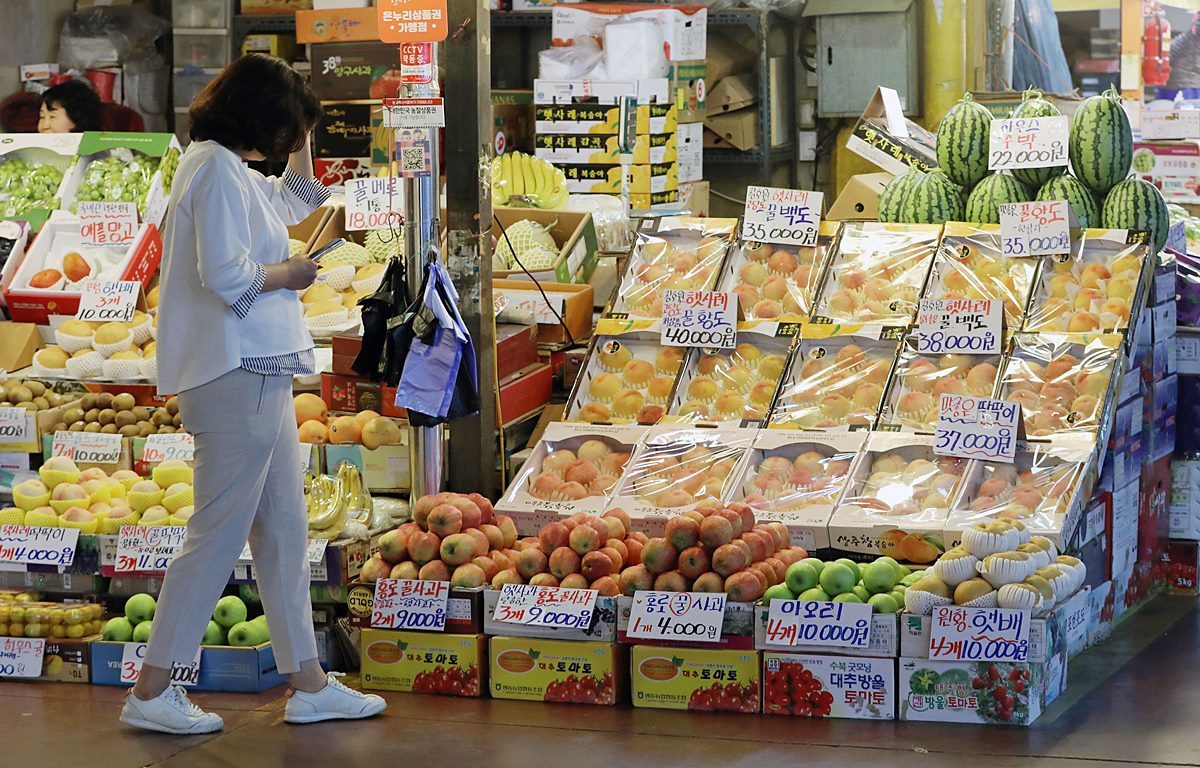 엄청난 크기와 무게…창원서 무려 23.63㎏ 초대형 '이 과일' 수확