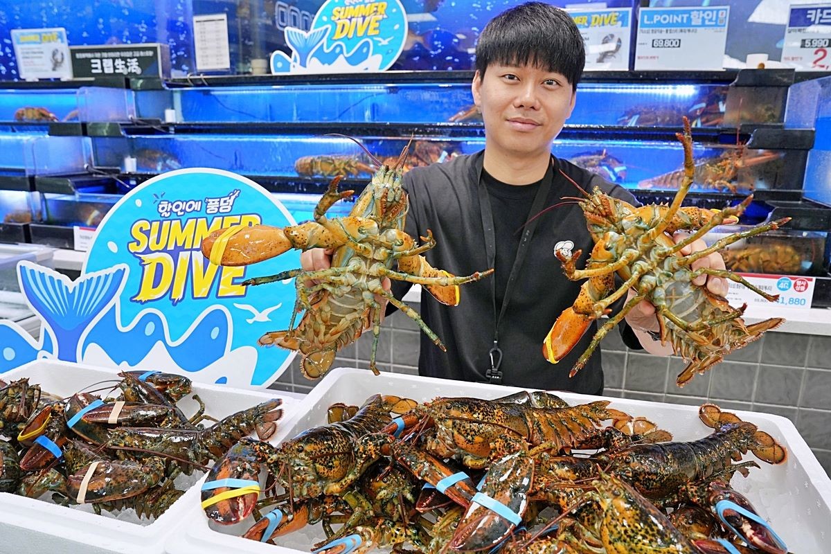 롯데마트는 고환율 여파로 시세가 상승한 활랍스터를 반값에 판매하는 할인 행사를 진행한다고 27일 밝혔다. 롯데마트에 따르면 오는 28일부터 다음 달 2일까지 전국에 있는 롯데마트 모든 점포에서 캐나다산 냉장 활랍스터를 행사 카드 결제 시 최대 50% 할인 판매한다. 활랍스터는 살아 있는 상태로 유통돼 신선함과 풍미를 극대화한 고급 미식 해산물이다. 세계 여러 미식 문화권에서 특별한 날의 식재료로 사랑받아 왔다. 단단한 껍질 속에 탄력 있게 차오른 살은 익혔을 때 은은한 단맛과 깊은 감칠맛을 내며 씹을수록 고소한 풍미가 살아나 고급 레스토랑은 물론 호텔 뷔페, 파인다이닝, 프리미엄 가정식 메뉴에서도 높은 선호도를 보인다. / 롯데마트 제공