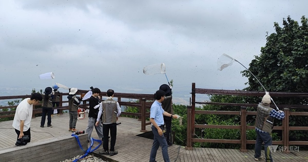 지난해 활동 모습
