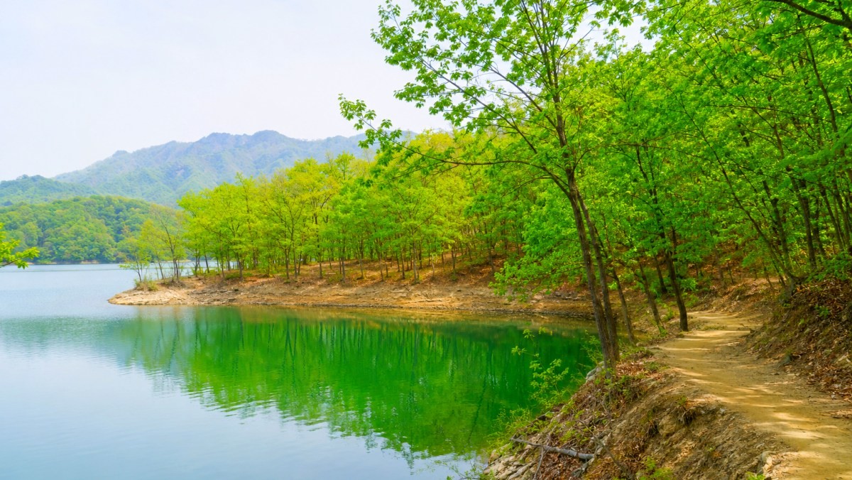 횡성호수길. / 횡성군 공식 블로그, AI