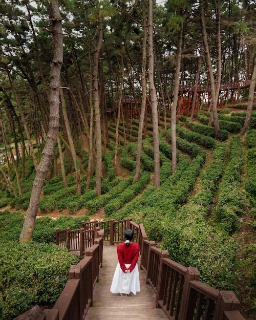 산림치유 힐링 거점 / 익산시