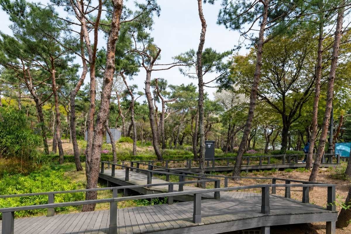 남산 야외식물원 / ⓒ한국관광콘텐츠랩