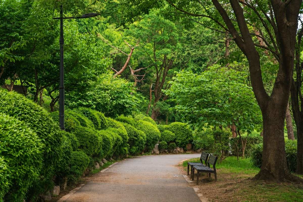 남산 야외식물원 / ⓒ한국관광콘텐츠랩