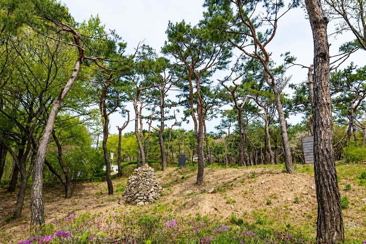남산 야외식물원 / ⓒ한국관광콘텐츠랩
