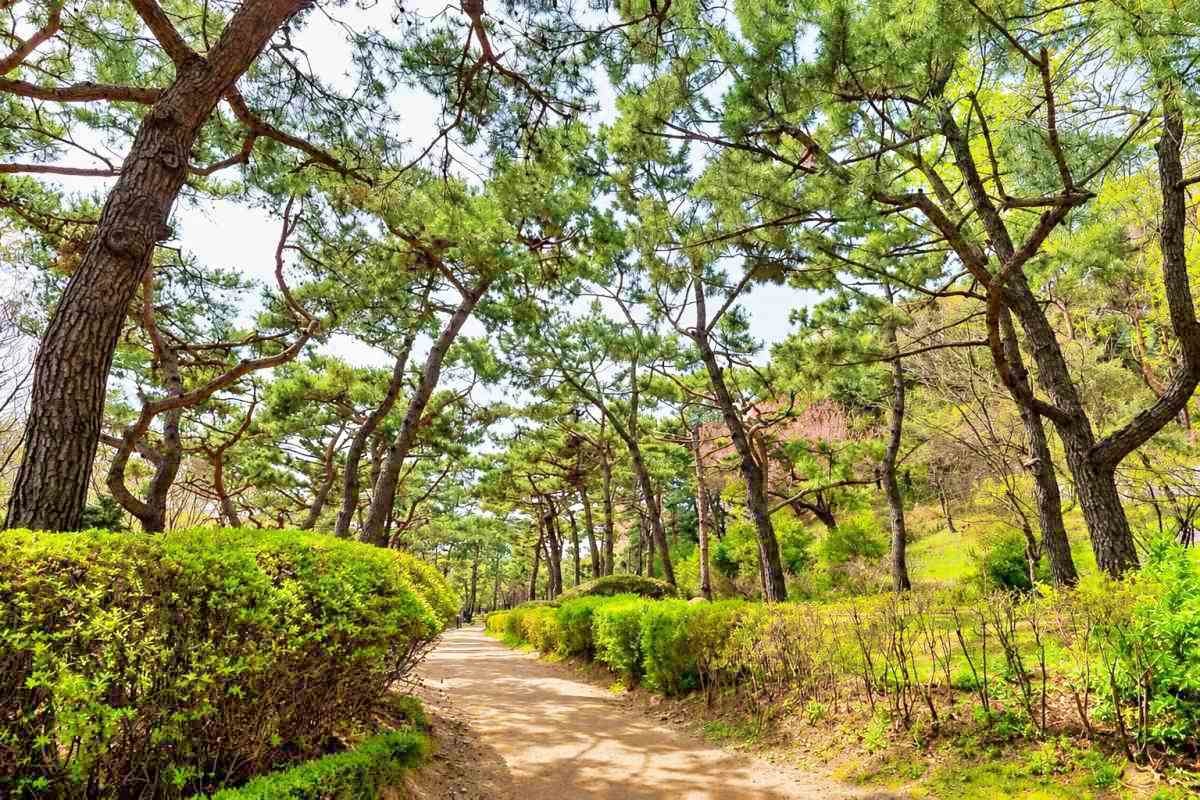 남산 야외식물원 / ⓒ한국관광콘텐츠랩