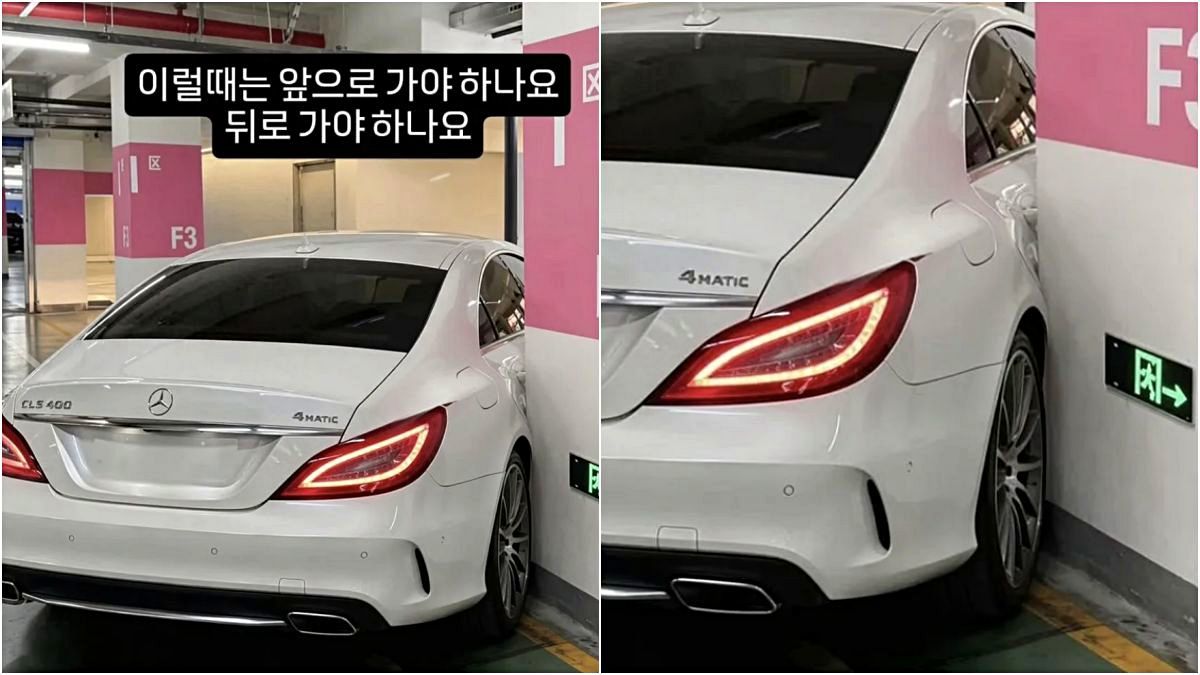 “이럴 땐 앞으로 가야 하나요? 뒤로 가야 하나요?”…온라인 달군 사진 1장