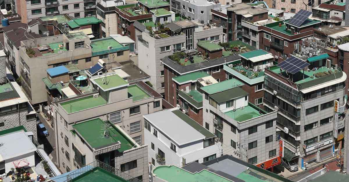 한국 건물 옥상이 유독 초록색인 이유