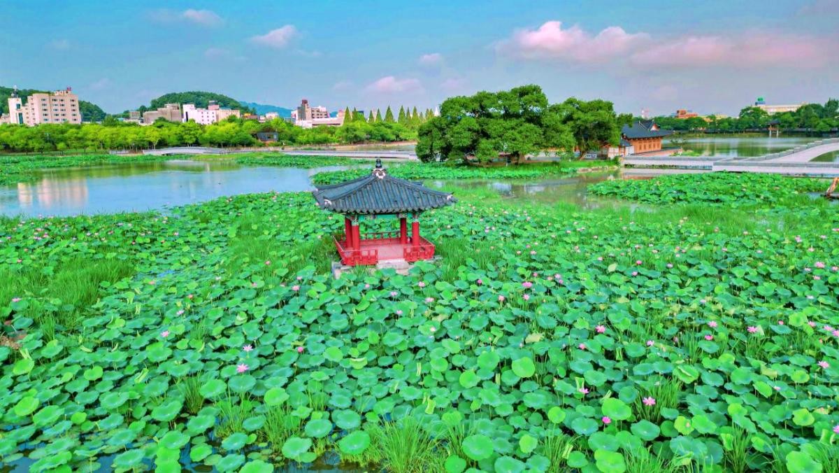 덕진공원 / 한국관광공사(촬영 : 강시몬)