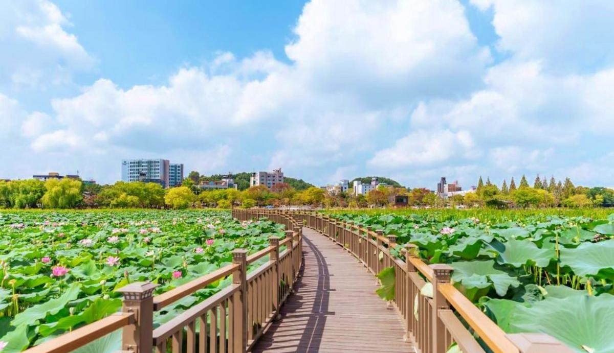 덕진공원   / ⓒ한국관광콘텐츠랩