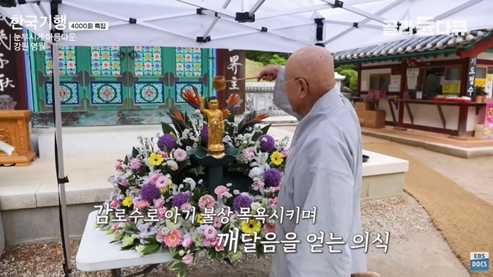 유튜브 'EBSDocumentary (EBS 다큐)'