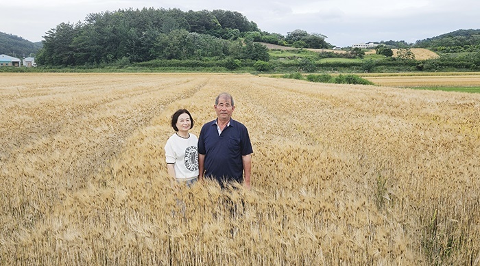 농약 한 방울 없이 45헥타르…함평 유기농 명인이 키운 '혈당 잡는 보리'의 기적