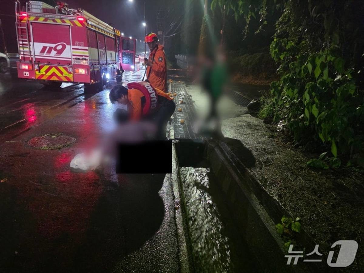 사고 현장 / 제주소방본부 제공, 뉴스1