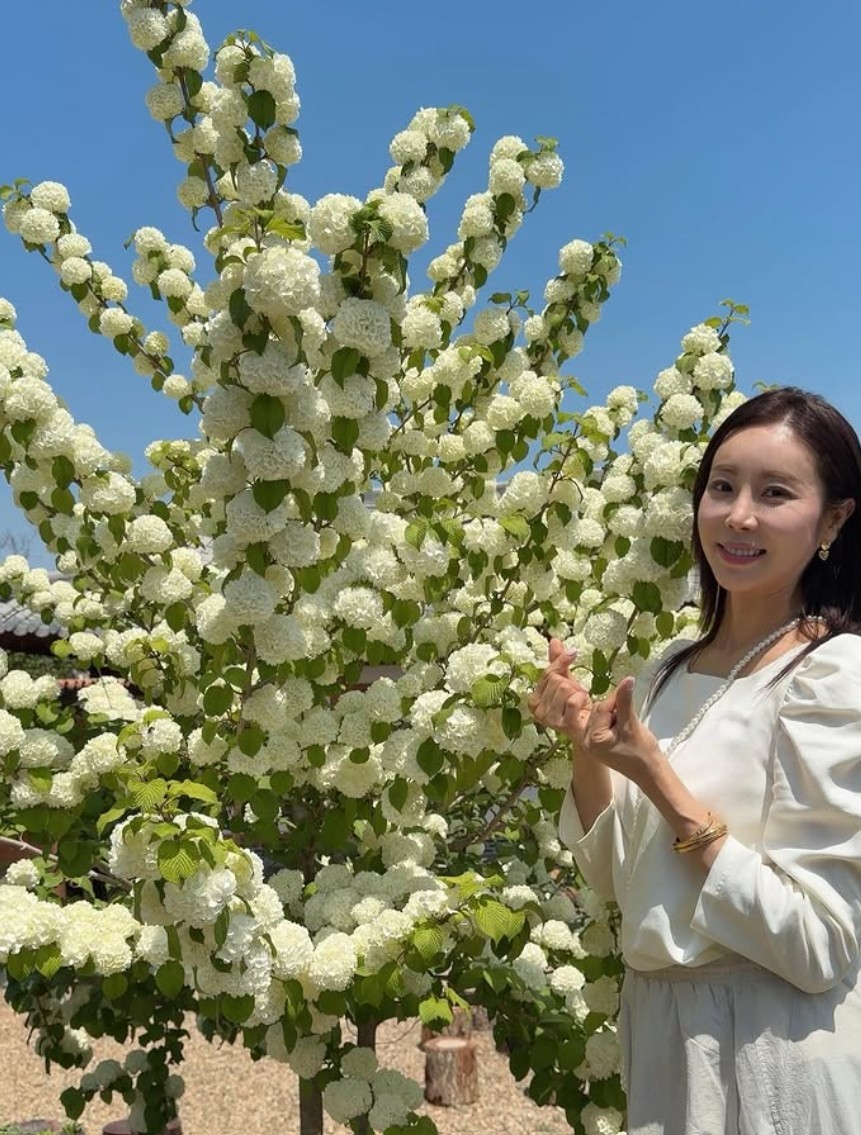 한다감 인스타그램