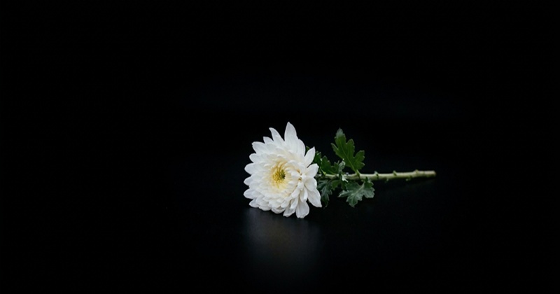 대전 한화 폭발 사고...한 가족은 아버지 잃었고, 또 다른 집에서는 아들 떠나 보냈다