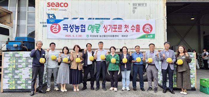 곡성군은 지난 2일 곡성농협 농산물산지유통센터(APC)에서 곡성 멜론의 첫 싱가포르 수출 상차식을 개최하고, 수출을 위한 선적을 완료했다. / 곡성군