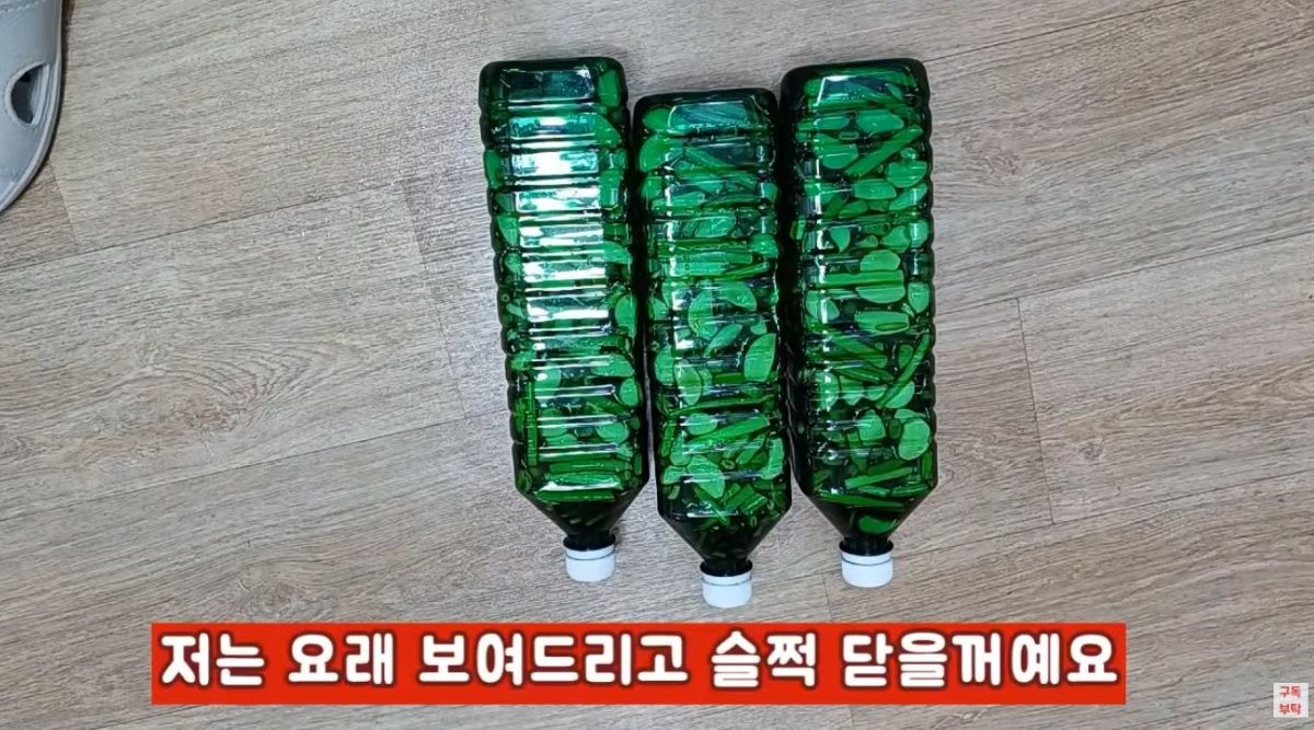 완성된 마늘쫑 장아찌. / 유튜브 '주부나라'