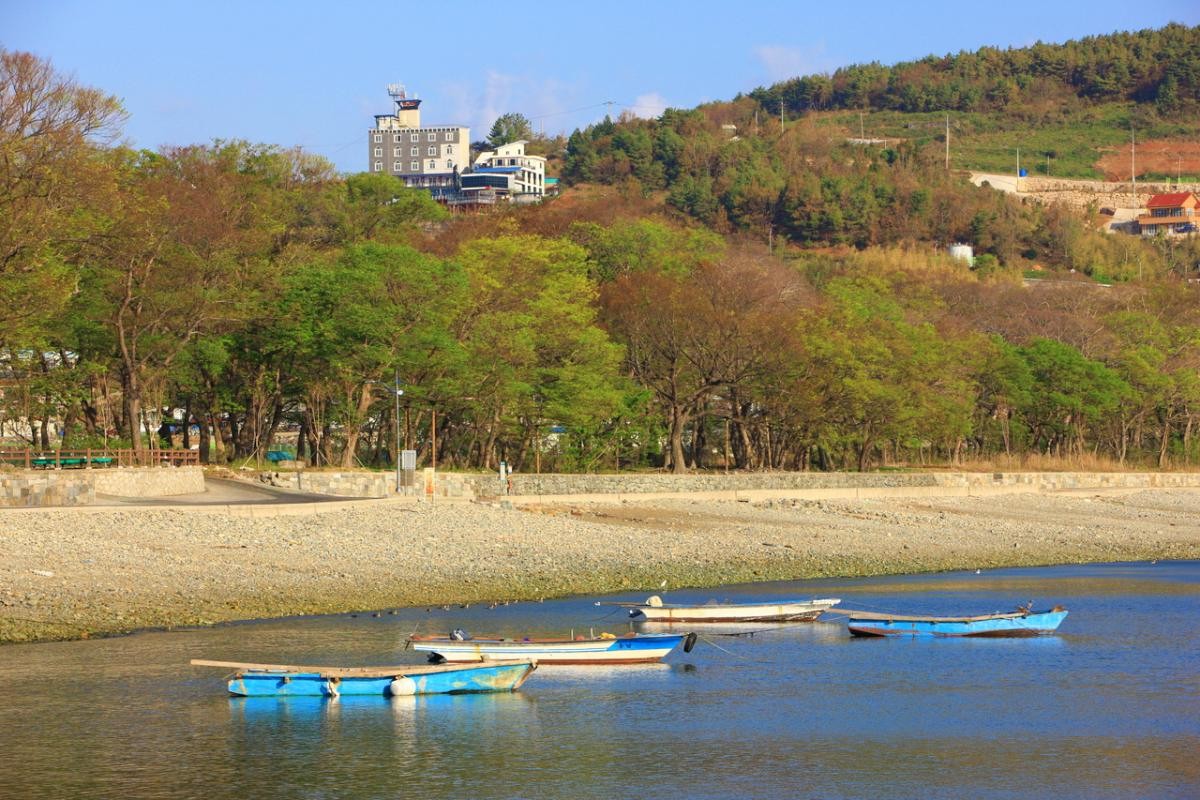 물건리 방조어부림 / 한국관광공사(촬영 : 김지호)