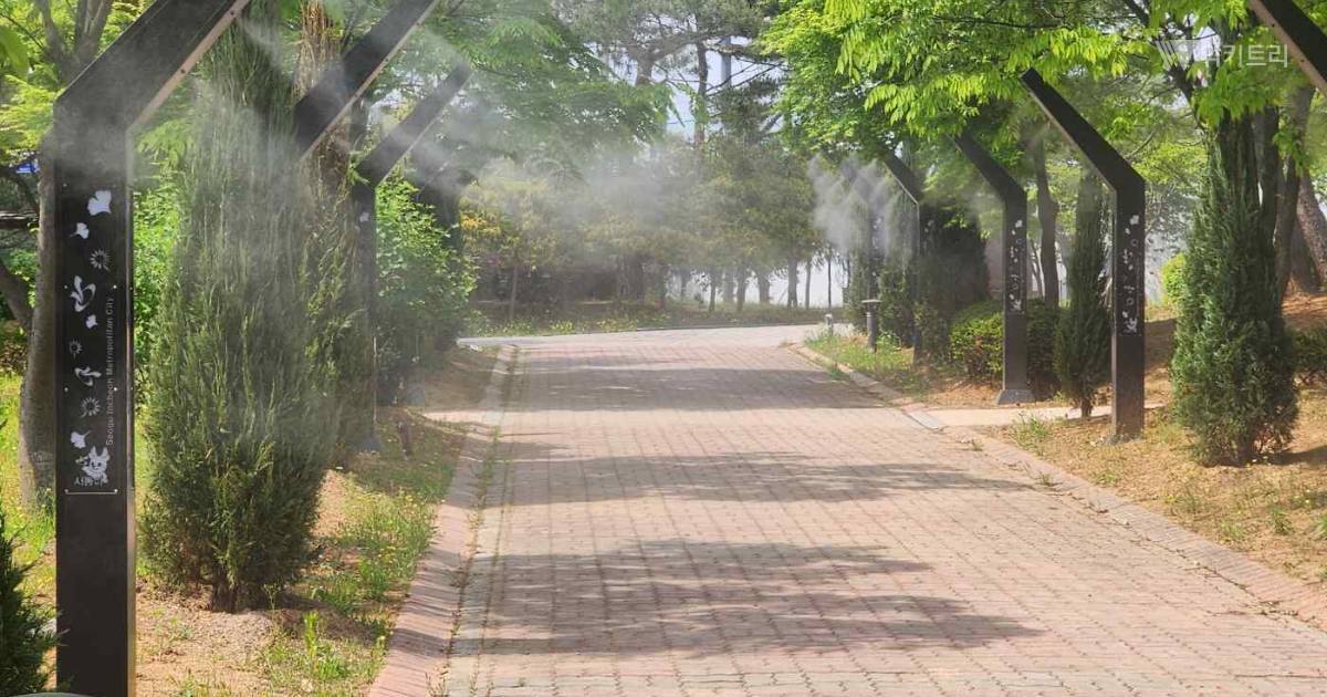 인천 서구, 도심 열섬 식히는 미세 물안개 '쿨링포그' 조기 가동