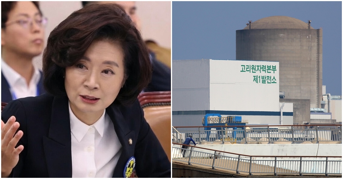 “보신탕집 사장이 애견협회 회장”…탈원전 양이원영, 한수원 이사 지원 논란