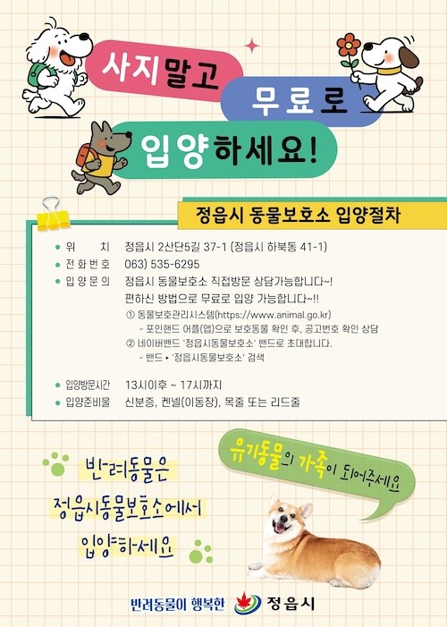 유기동물 입양 가정 반려동물 보험 가입비 지원 / 정읍시