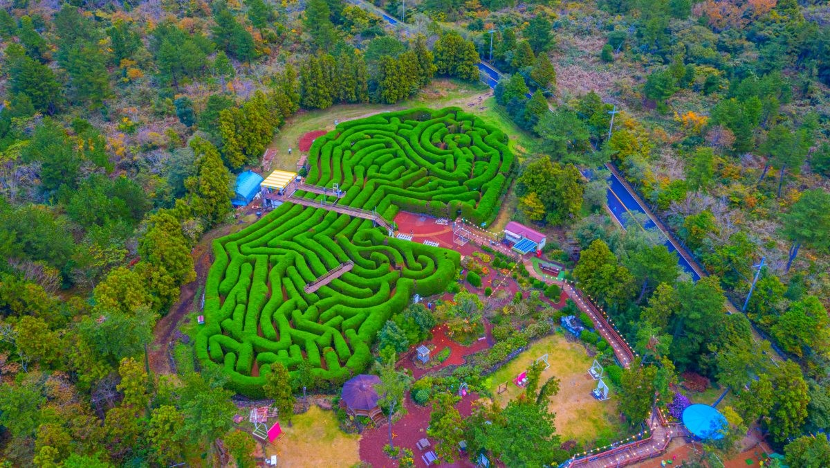 김녕 미로공원. / trabantos-shutterstock.com