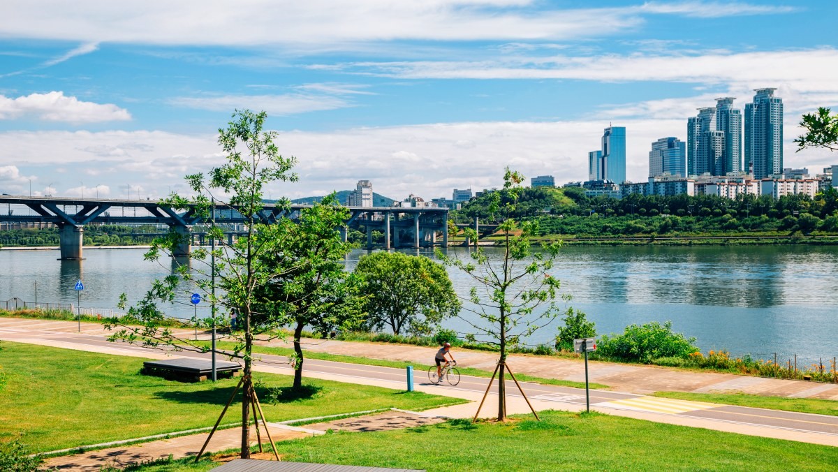 뚝섬 한강공원. / Sanga Park-shutterstock.com