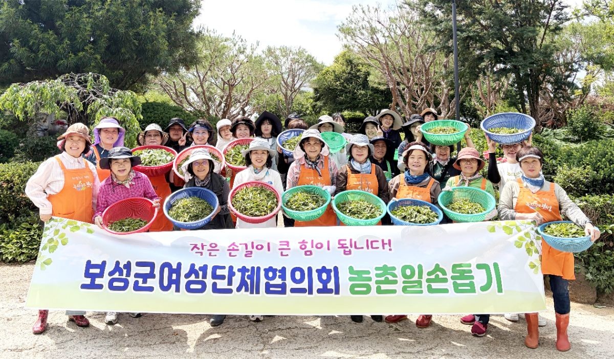 보성군여성단체협의회가 햇차 수확철을 맞아 차 재배 농가를 찾아 일손 돕기 봉사활동을 펼쳤다. / 보성군