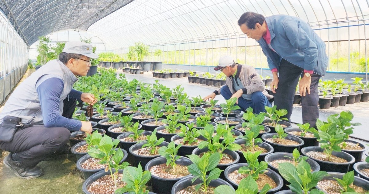 농업인이 먼저 찾는 상담소…함평군 농업기술센터, 5월까지 3,230건 상담 '신뢰 쌓았다'