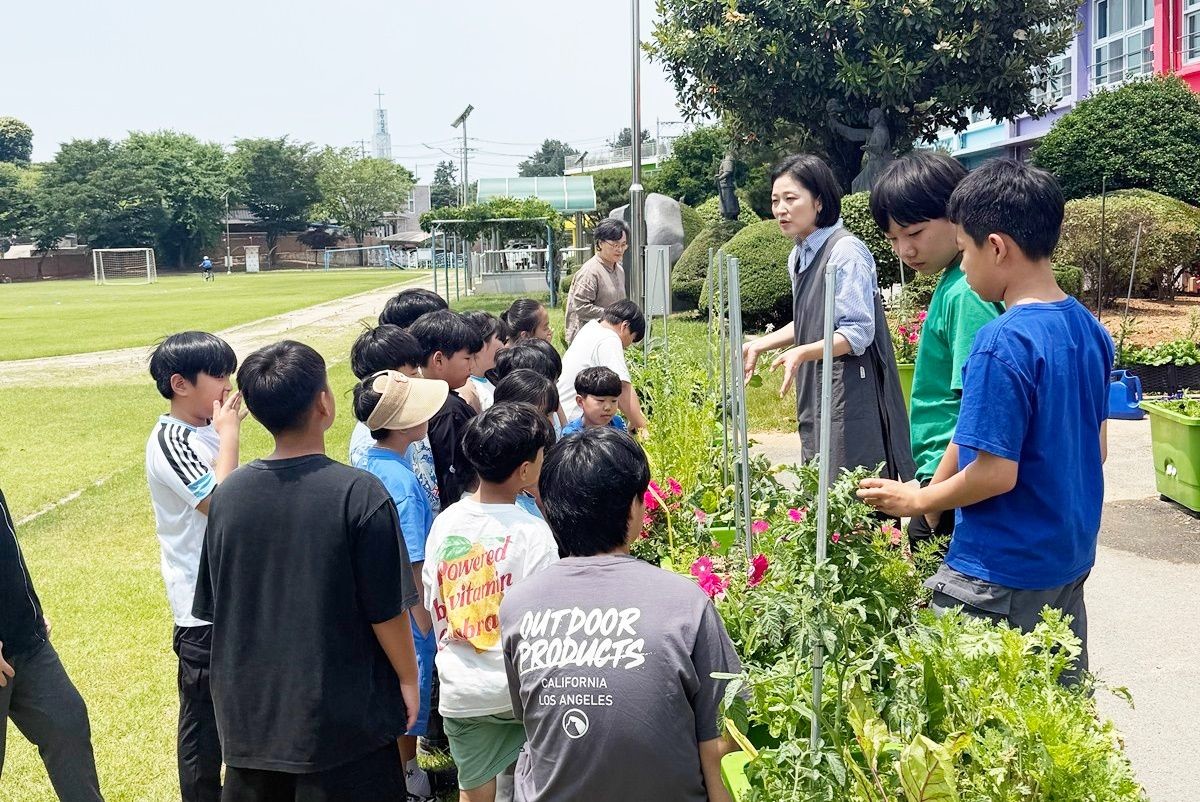 나주시가 학생들의 정서 안정과 생태 감수성 향상을 위해 관내 학교를 대상으로 ‘학교 치유텃밭교실’을 운영하고 있다. / 나주시