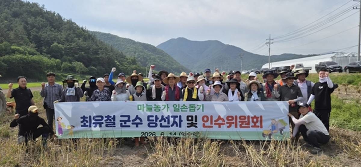 인수위원회와 마늘농가 일손돕기에 나선 최유철 당선인