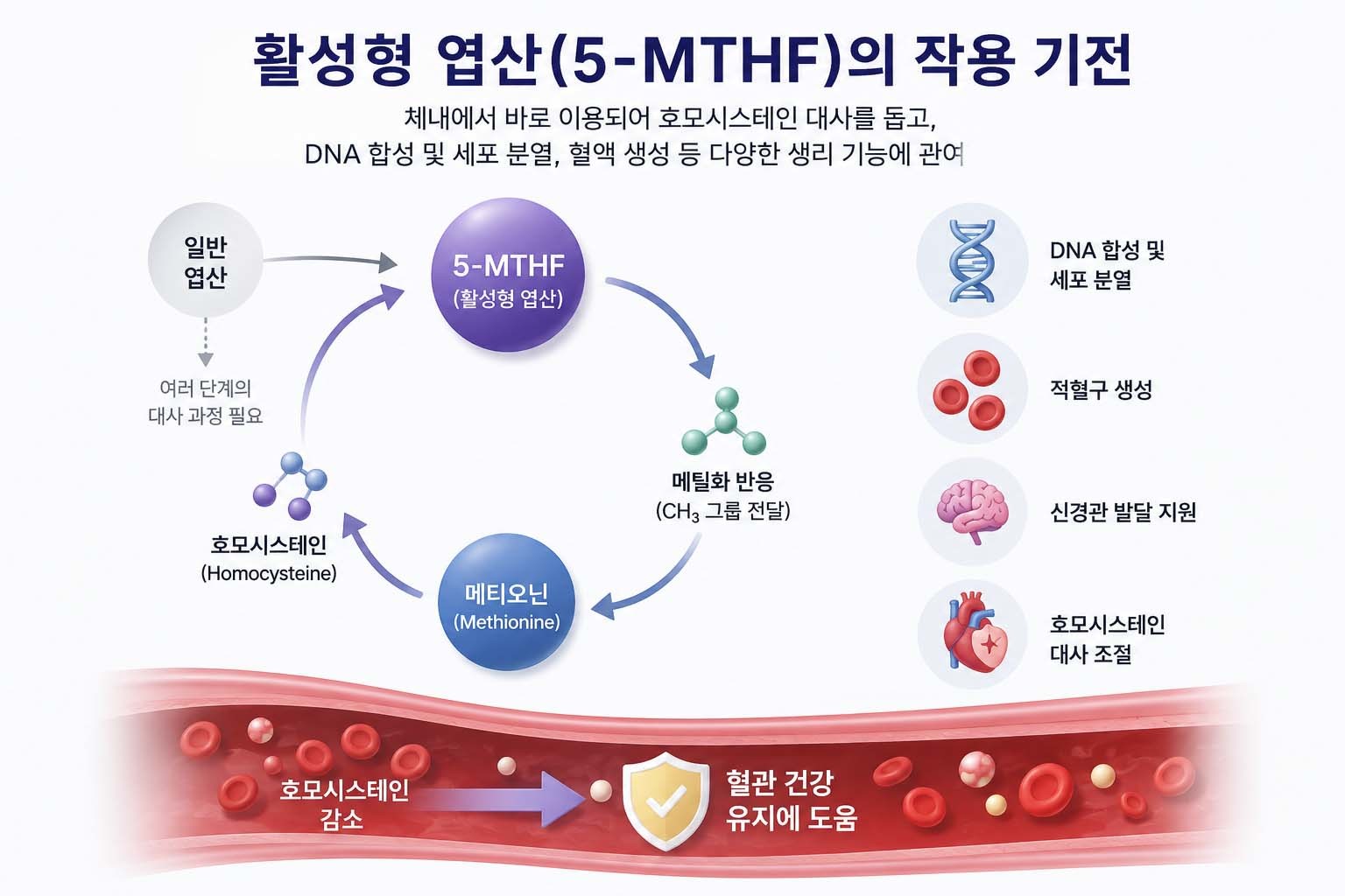 글에 대한 이해를 돕기 위해 AI 툴로 만든 사진.