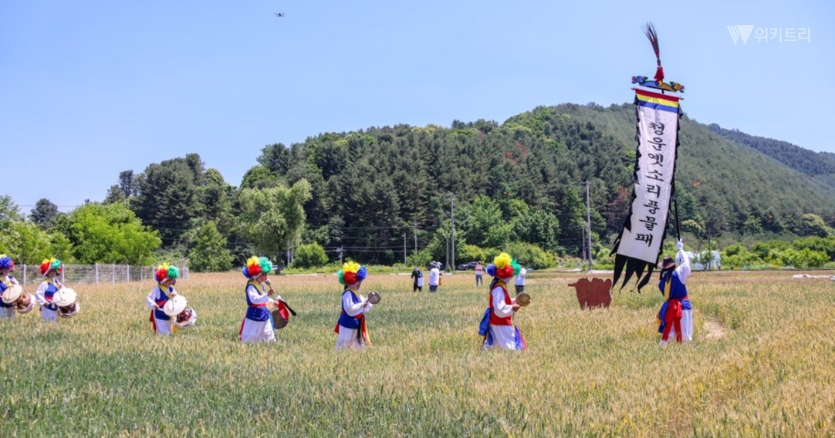 '4회' 맞은 양평 밀 축제, 역대 최대 흥행 기록