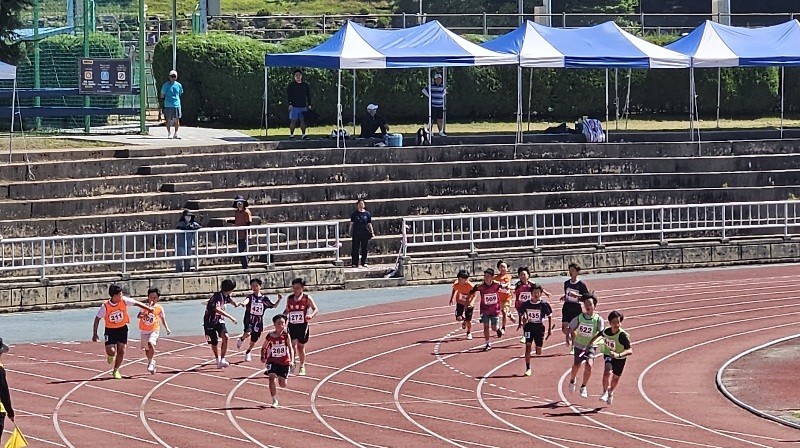 남자초등부 6학년 400m 계주에서 한밭초등학교(연두색) 마지막 주자가 역주를 펼치고 있다./사진=대전교육청