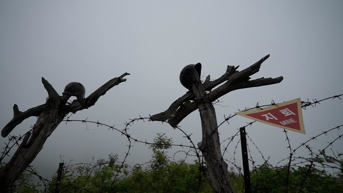 EBS1 '한국기행' 미리보기 페이지에서 제공하는 861편 '금단의 땅, DMZ' 대표 사진. / EBS1 제공