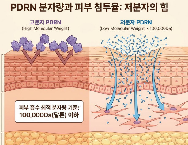 단순 자료 사진. 기사 이해를 돕기 위해 AI로 제작한 이미지.