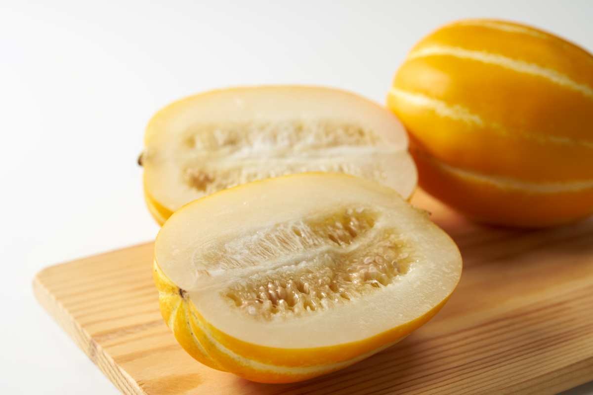 참외 단면 사진 / manbo-photo     -shutterstock