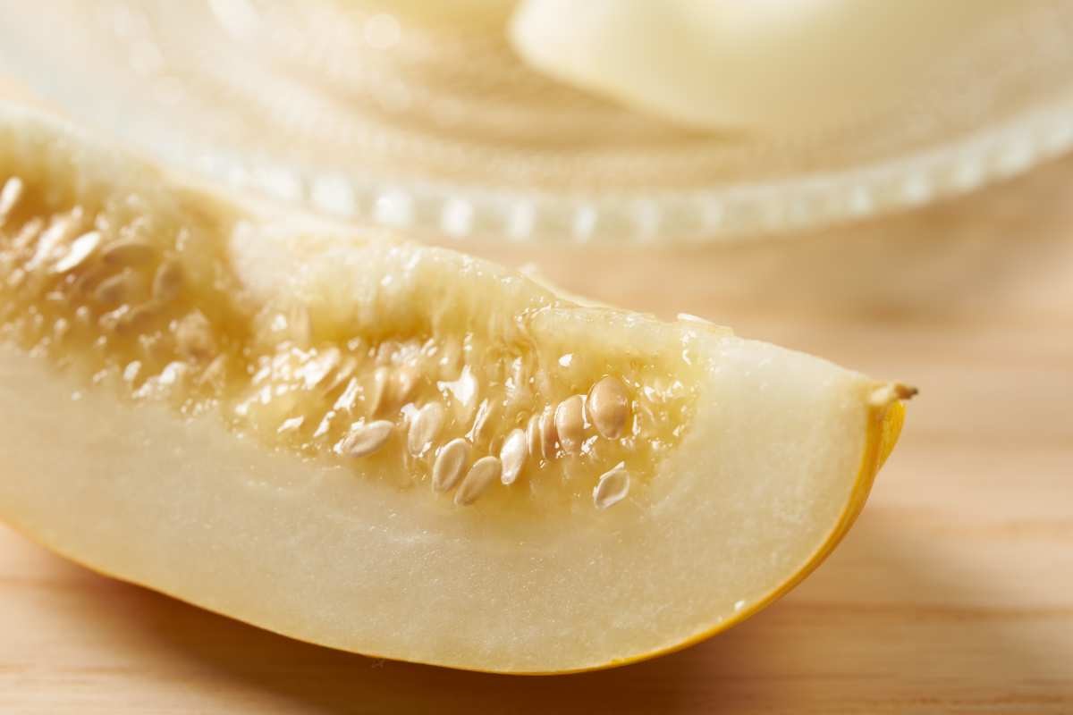 기사 이해를 돕기 위한 참외 자료 사진 / manbo-photo     -shutterstock
