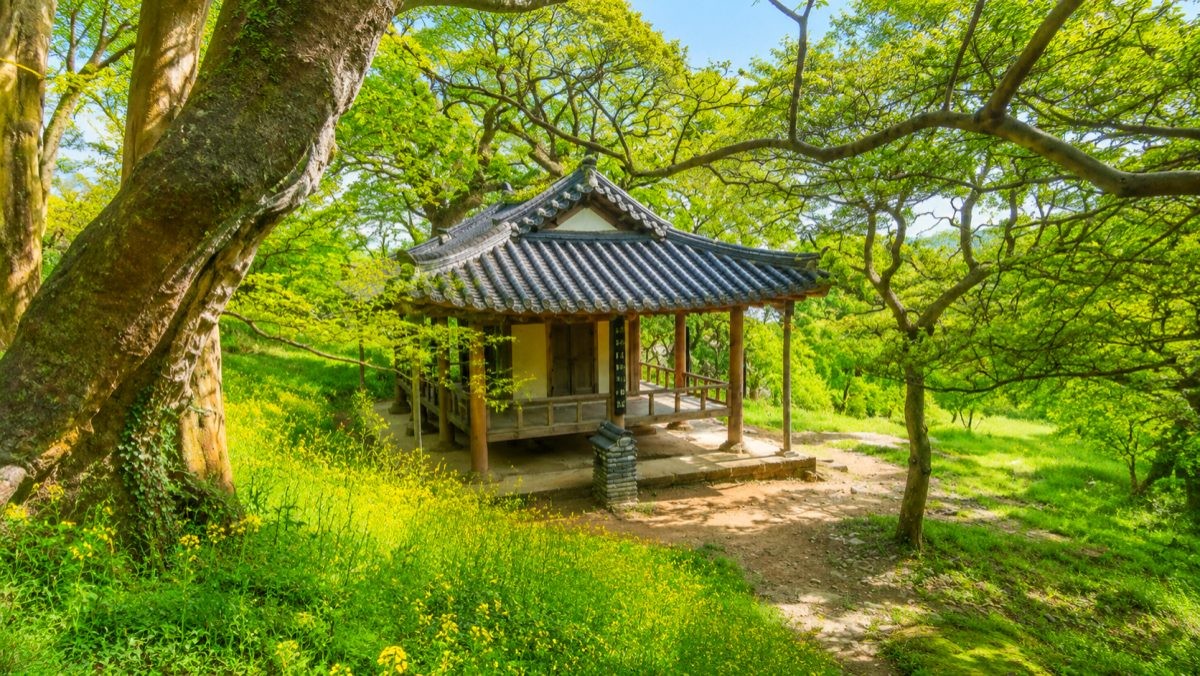 담양 명옥헌 원림. / 담양군 공식 블로그, AI