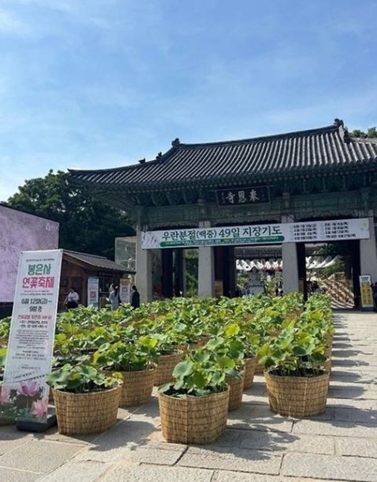 글쓴이가 찍은 봉은사 전경. / 에펨코리아