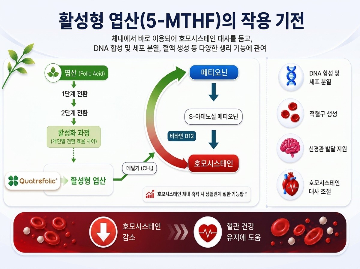 글에 대한 이해를 돕기 위해 AI 툴로 만든 사진.