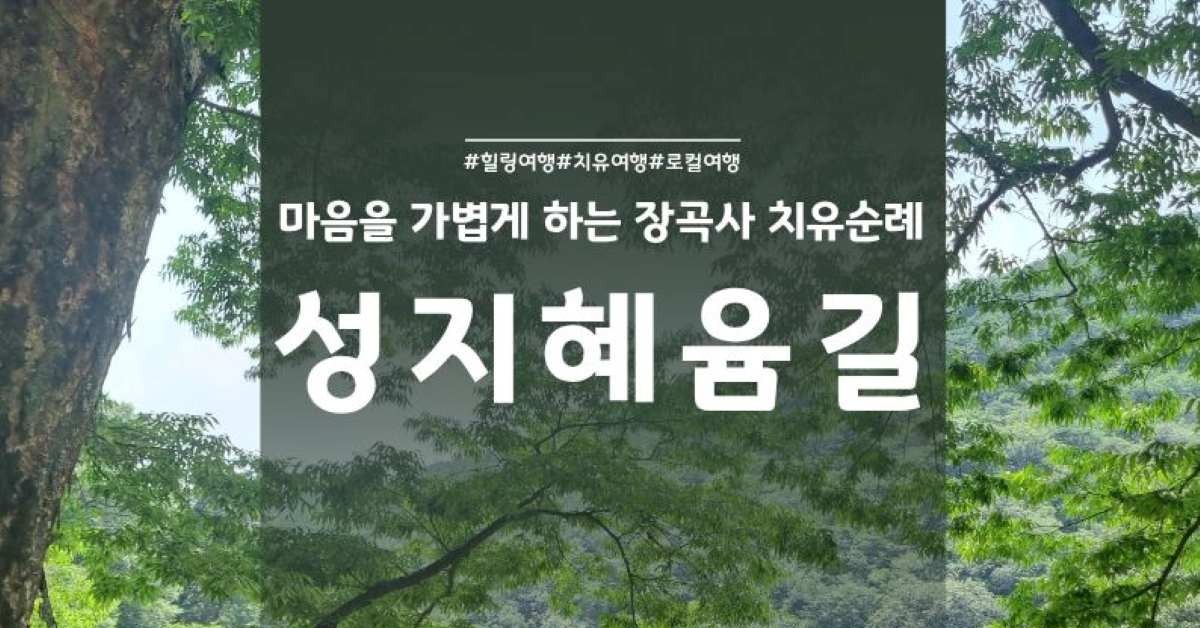 '불멍부터 칠갑산 일출까지' 청양 체류형 치유관광 본격 시동