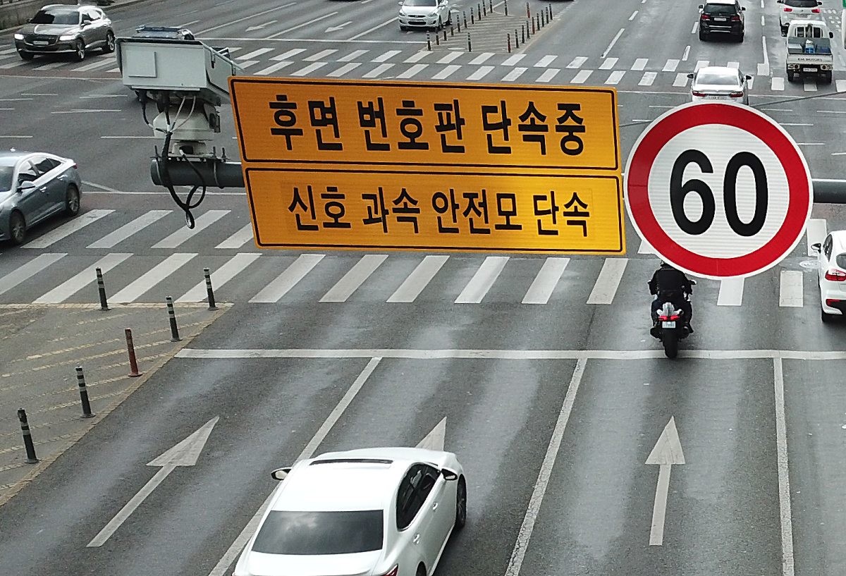 후면 번호판 무인 교통단속 / 뉴스1