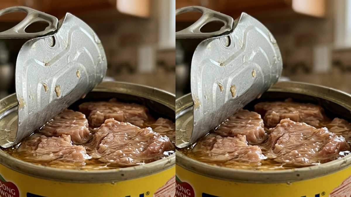 '참치캔 기름' 절대 그냥 버리지 마세요… 알고 보면 활용도 만점입니다