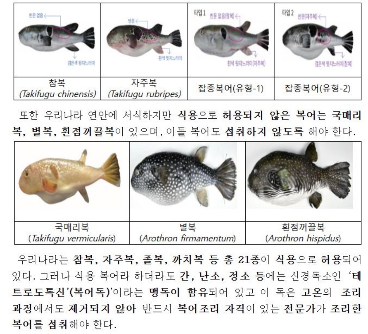복어도감 캡처. / 식약처