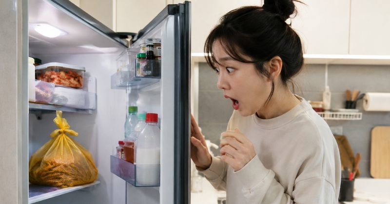 [대한루마니아인 한국생활]  “냉동실에 음식물쓰레기가 있다고?” 외국인이 한국 집에서 보고 충격받은 생활 꿀팁