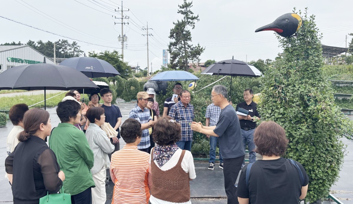 "국화 기술 좀 배웁시다!" 함평군, 전국 지자체 벤치마킹 성지 떴다