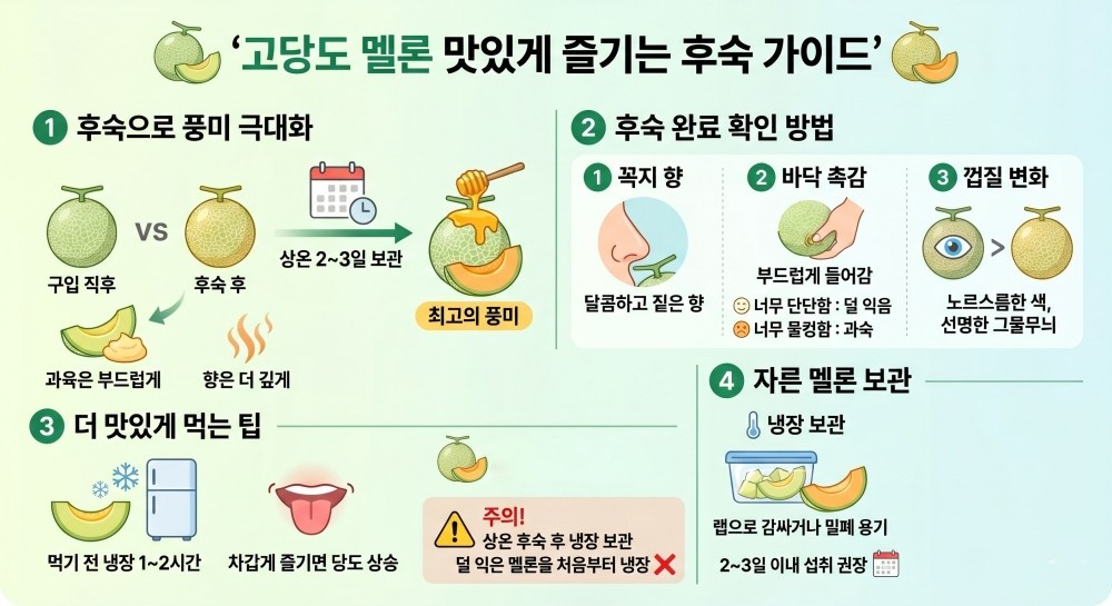 [인포그래픽] 기사 본문을 바탕으로 AI가 생성한 인포그래픽 이미지.