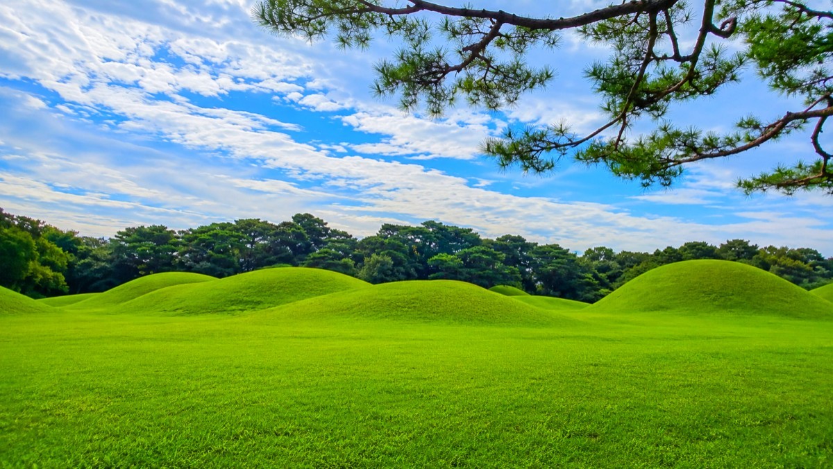 경주 오릉. / 경주시 공식 블로그, AI