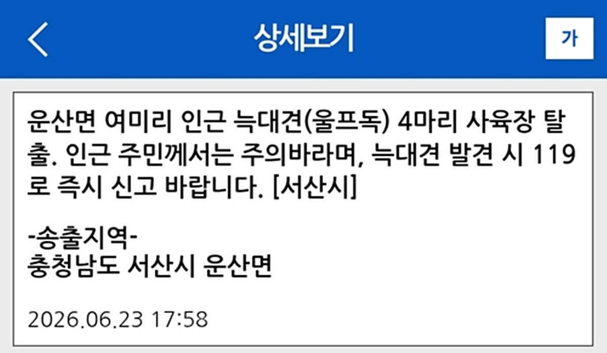 늑대개 탈출 관련 서산시 재난문자. 23일 서산시에 따르면 지난 16일 오전 2시쯤 충남 서산시 운산면 여미리에 있는 한 농가에서 사육 중이던 개 18마리 가운데 11마리가 탈출한 것으로 파악됐다. 지난 16일부터 19일까지 탈출견 7마리가 차례로 포획됐지만 나머지 4마리는 아직 잡히지 않았다. 현재까지 늑대개 탈출로 인한 인명피해나 가축 피해는 확인되지 않았지만 인근 주민들은 불안감을 호소하고 있는 것으로 알려졌다. / 안전디딤돌 앱 캡처