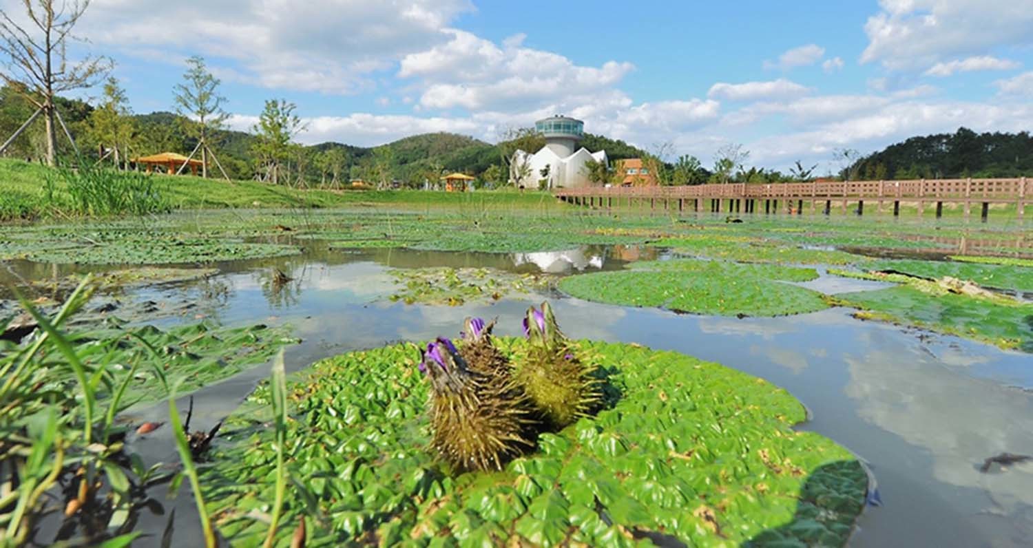 우포늪체험장 / 창녕군시설관리공단
